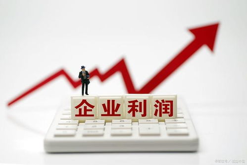 個體工商戶的15個財稅要點(diǎn),2021報稅政策 稅收優(yōu)惠等