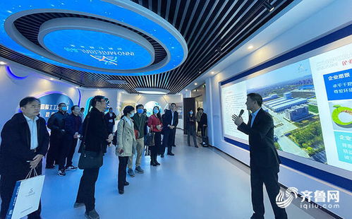 全國專家共聚德州，共話高端非織造布創新應用與紡織品研發新篇章