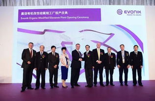 數千萬歐元投資驅動新工廠投產，贏創以資產管理策略鞏固有機硅表面活性劑全球領先地位